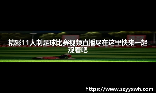 v大发彩神8iii