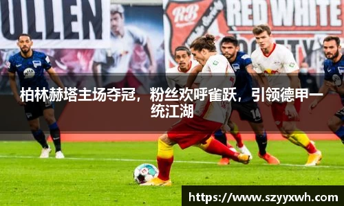 柏林赫塔主场夺冠，粉丝欢呼雀跃，引领德甲一统江湖