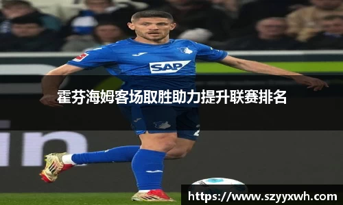霍芬海姆客场取胜助力提升联赛排名